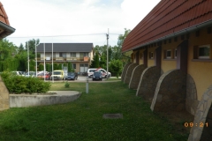 IMGP0011