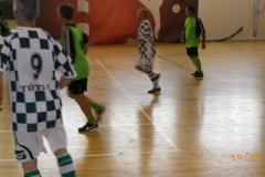IMGP0115